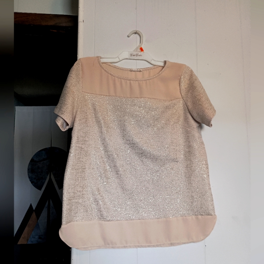 Adrienne Shimmer Blouse Size Medium